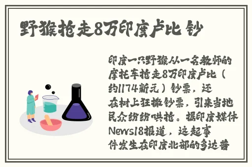 100款夜间禁用入口网页破解